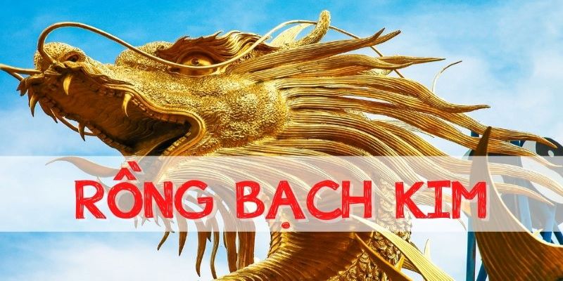 Mẹo soi cầu chính xác